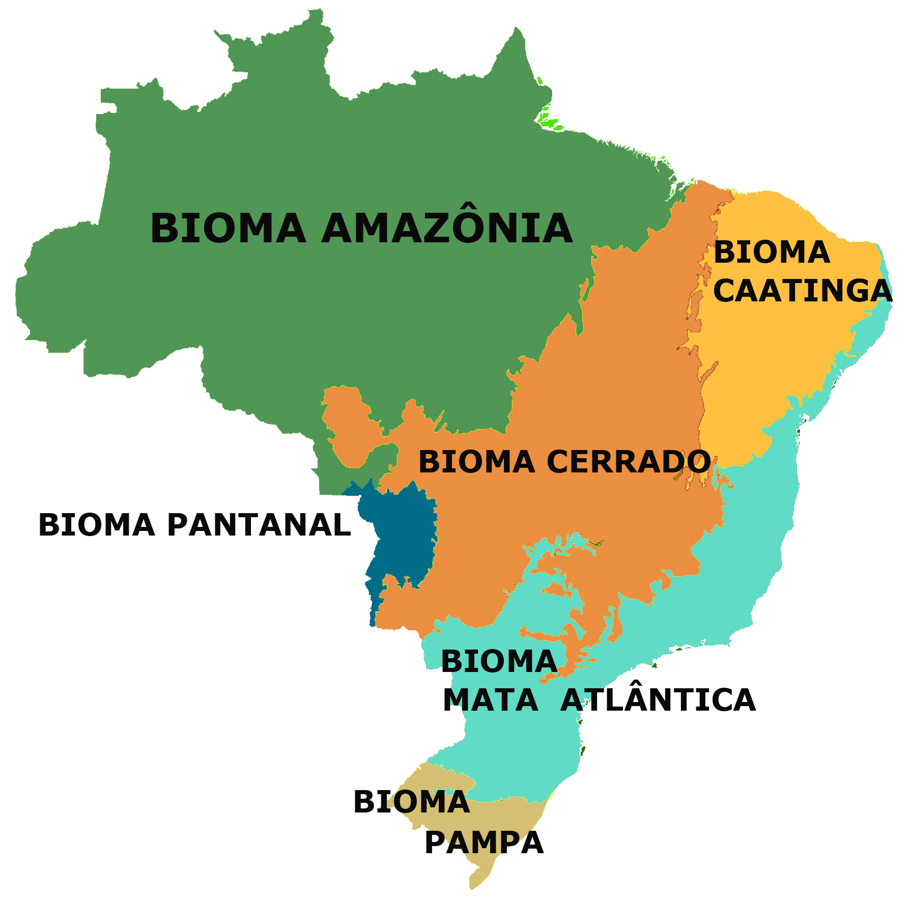 Mapa dos biomas